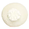 rafaello