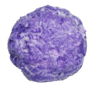 Blueberry Fritter